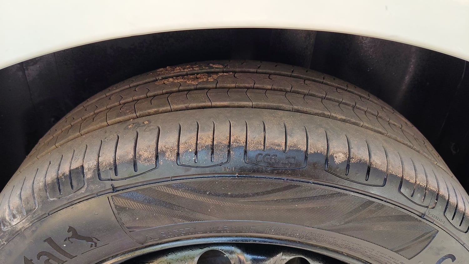 Used 2019 Volkswagen Polo Comfortline 1.0L (P) Petrol Manual tyres LEFT REAR TYRE TREAD VIEW