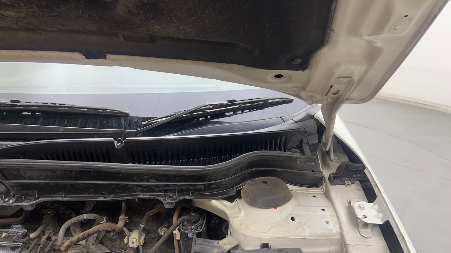 Used 2021 Toyota Urban Cruiser High Grade AT Petrol Automatic engine ENGINE LEFT SIDE HINGE & APRON VIEW