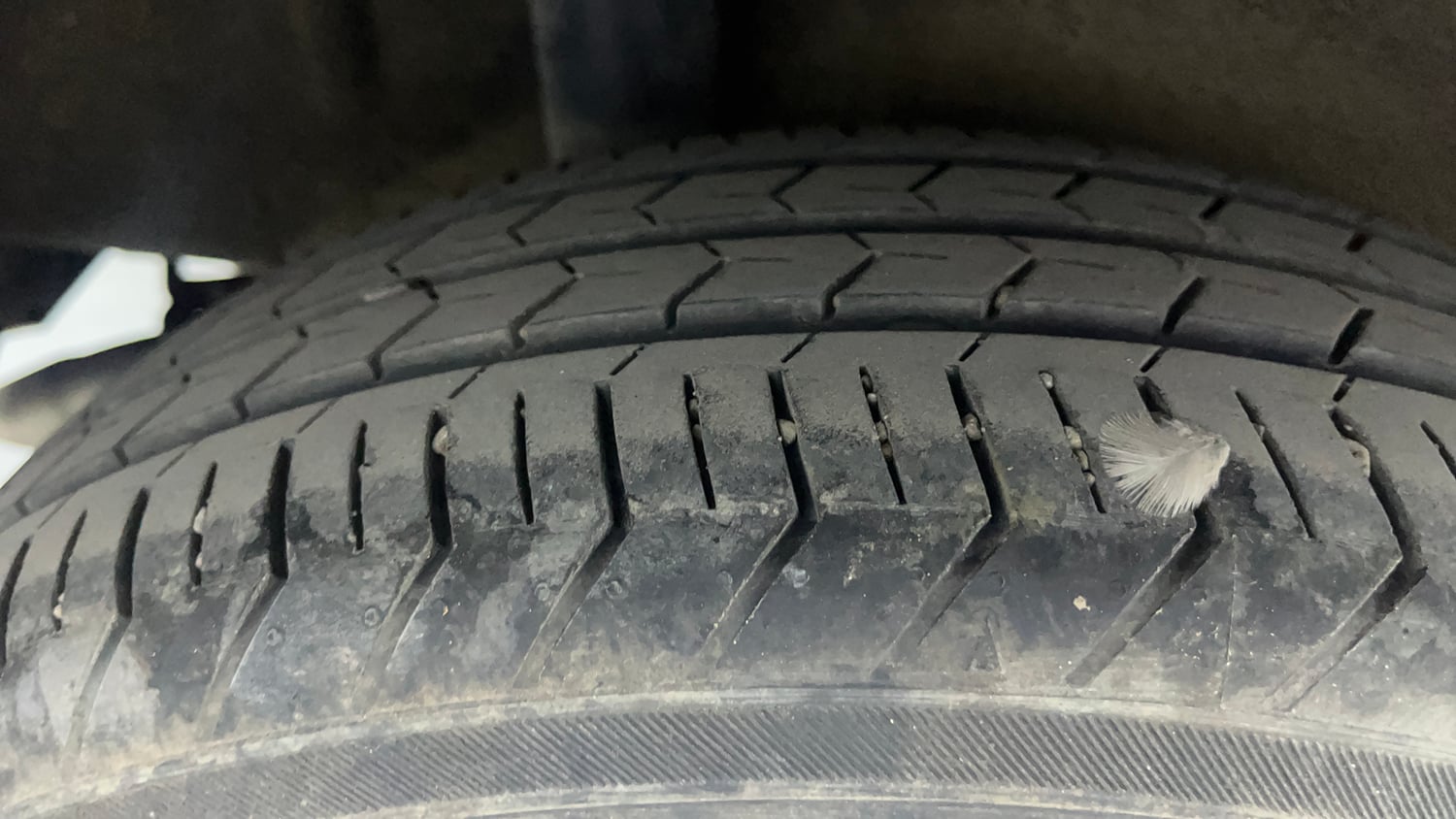 Used 2024 Maruti Suzuki Celerio ZXi Plus AMT Petrol Automatic tyres RIGHT REAR TYRE TREAD VIEW