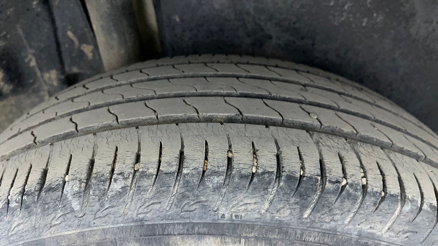 Used 2023 Maruti Suzuki Brezza ZXi Petrol Manual tyres RIGHT REAR TYRE TREAD VIEW