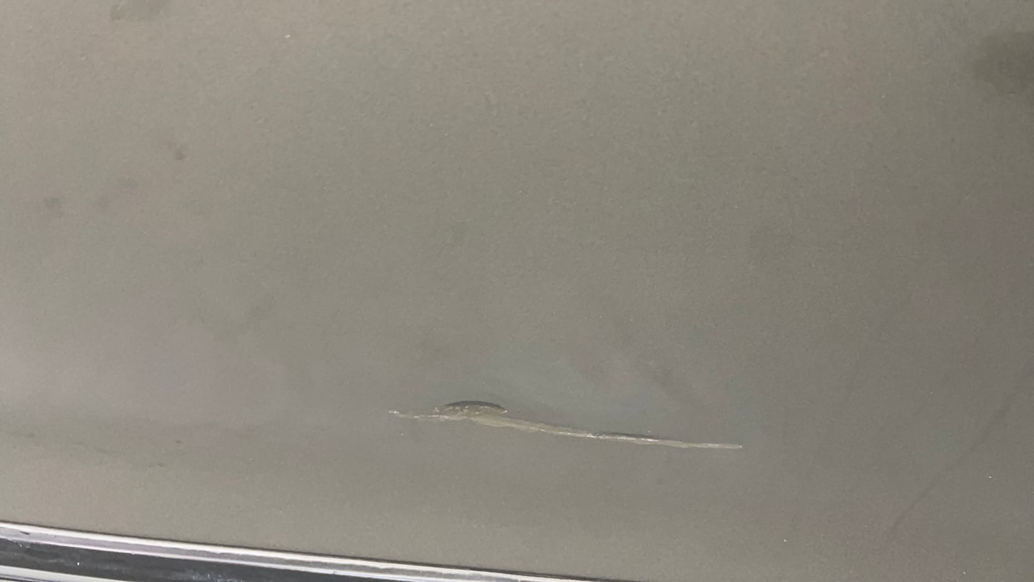 Used 2019 Maruti Suzuki Baleno Delta Petrol Manual dents MINOR DENT