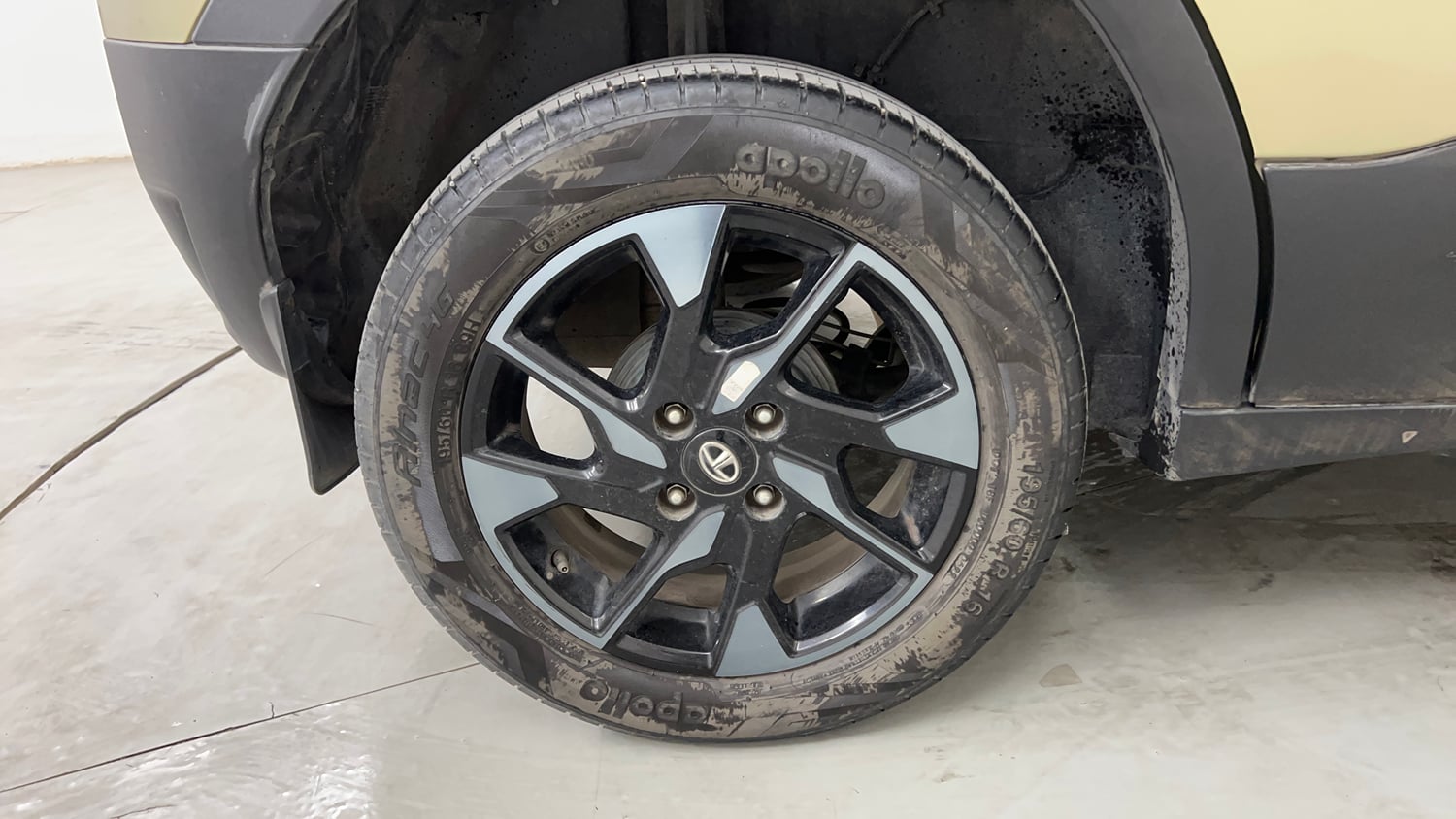 Used 2022 Tata Punch Kaziranga Creative MT Petrol Manual tyres RIGHT REAR TYRE RIM VIEW