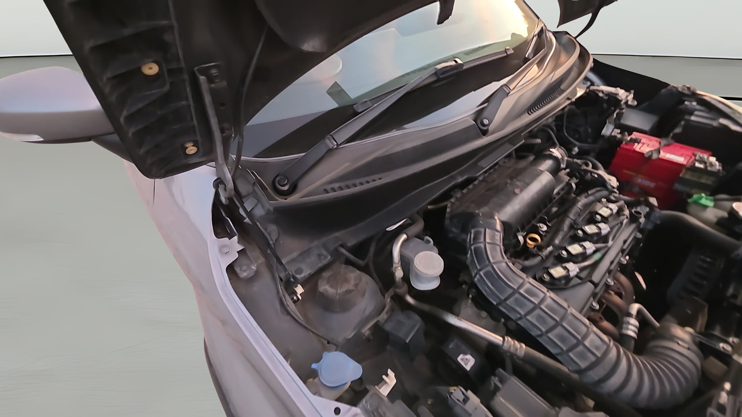 Used 2019 Maruti Suzuki Ignis Alpha 1.2 AMT Petrol Automatic engine ENGINE RIGHT SIDE HINGE & APRON VIEW
