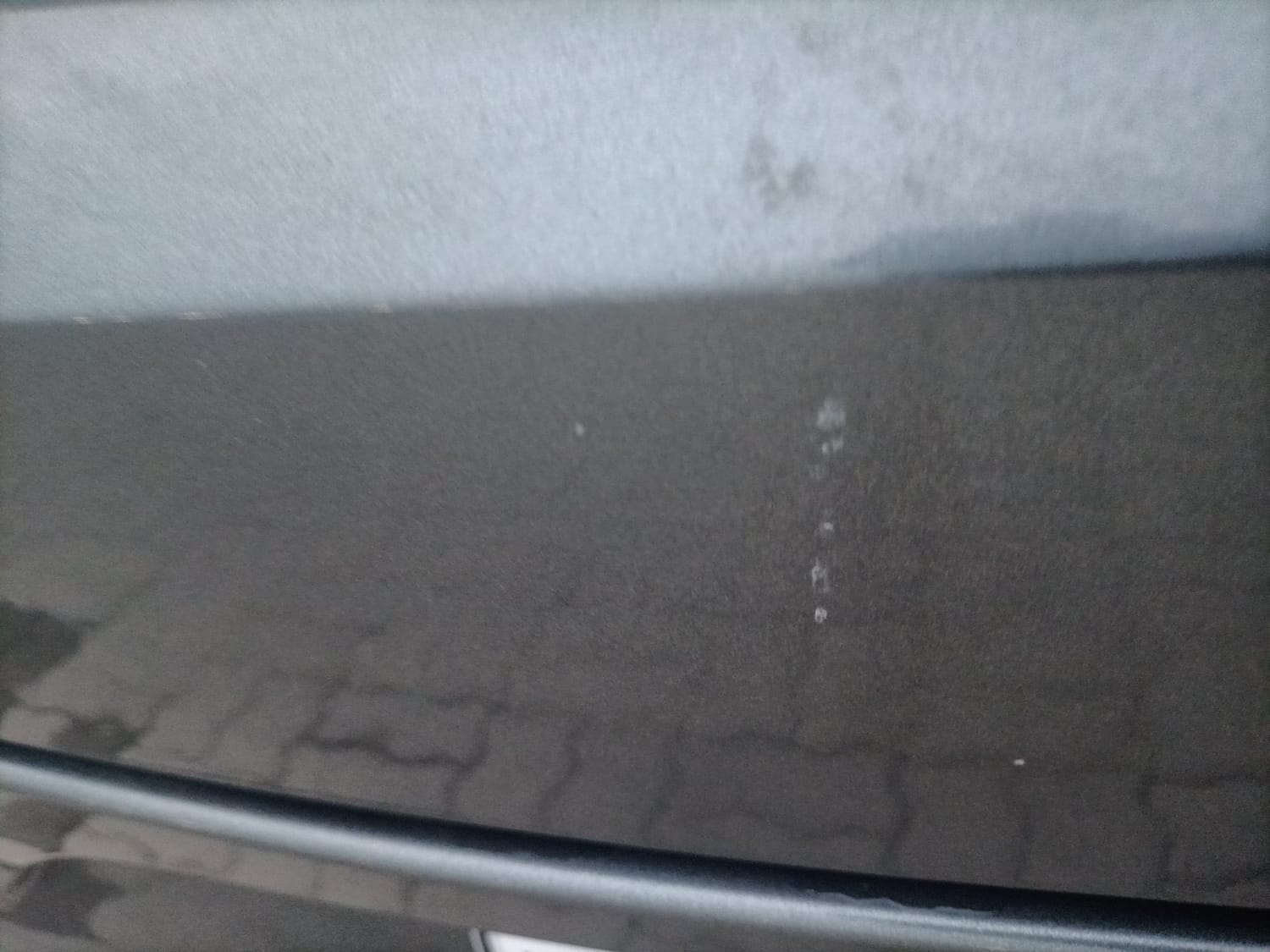 Used 2024 Tata Altroz XM Plus Petrol Petrol Manual dents MINOR SCRATCH