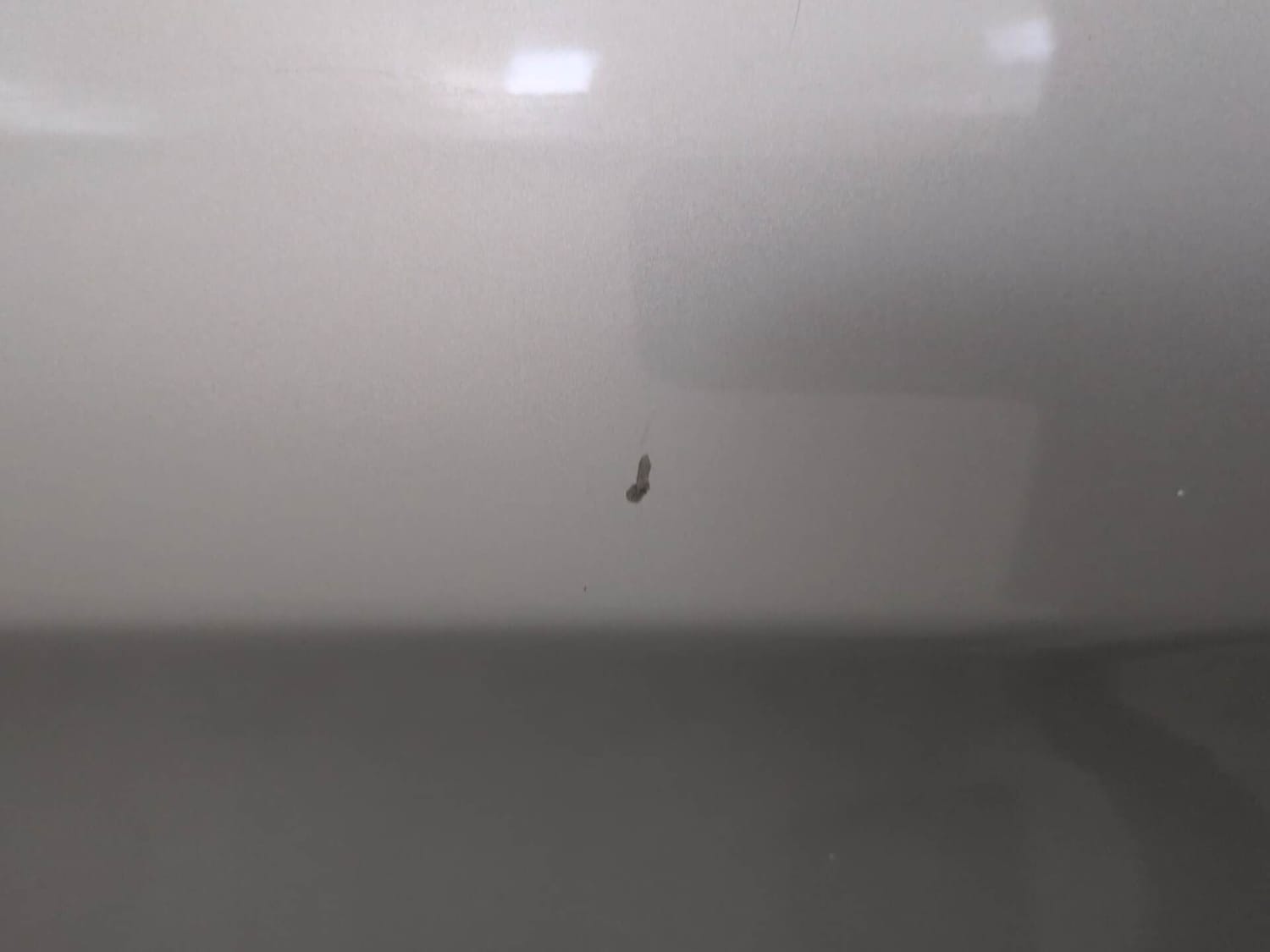 Used 2019 Maruti Suzuki Celerio ZXi AMT Petrol Automatic dents MINOR SCRATCH