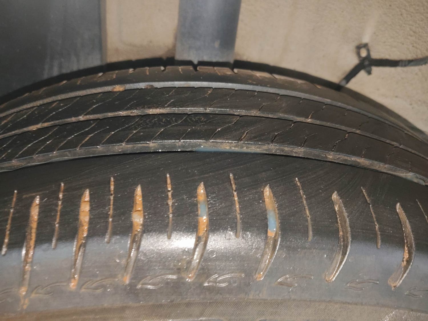 Used 2023 Tata Altroz XM Plus (S) Petrol Manual tyres RIGHT REAR TYRE TREAD VIEW
