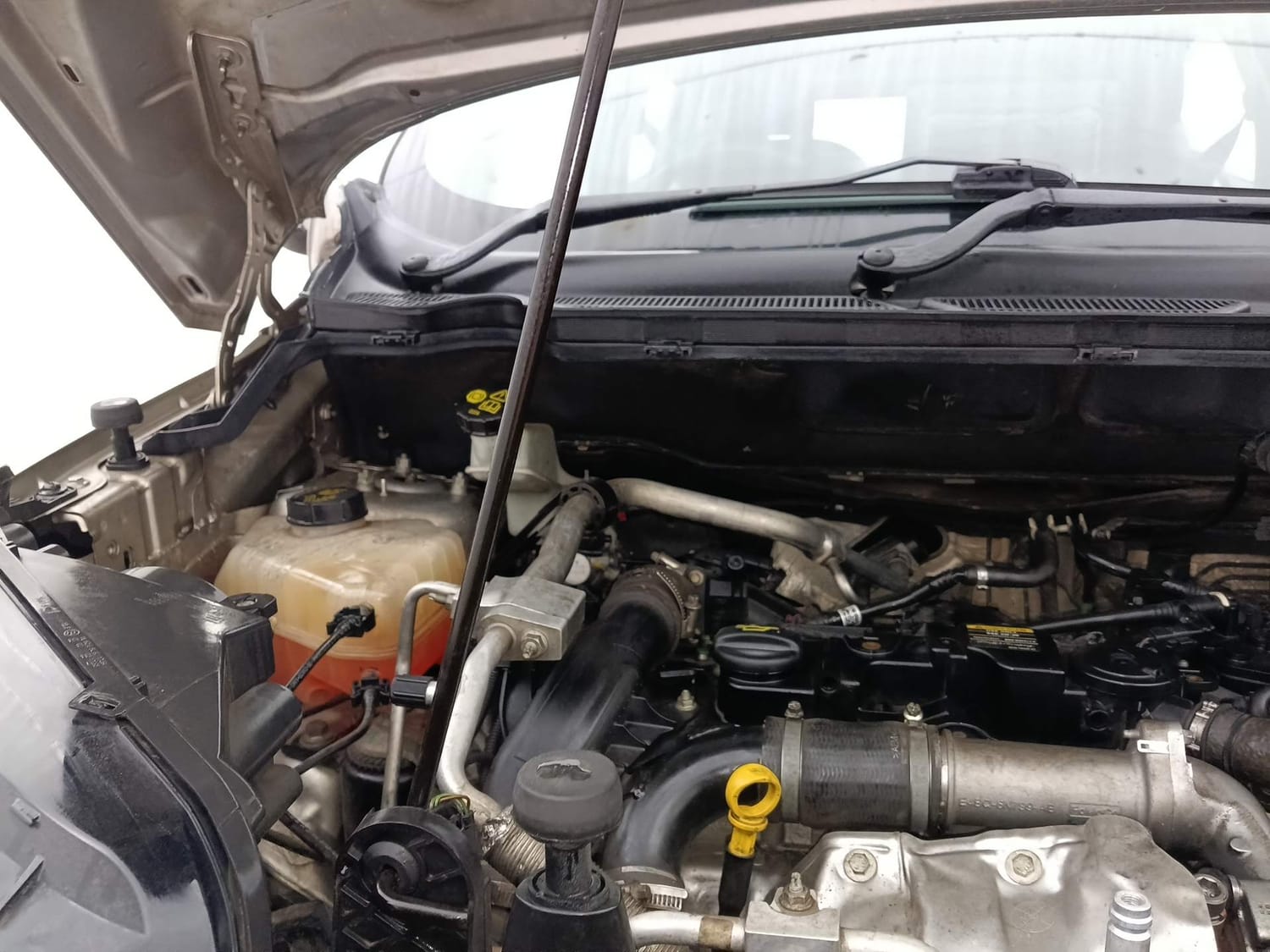 Used 2016 Ford EcoSport Trend 1.5L TDCi Diesel Manual engine ENGINE RIGHT SIDE HINGE & APRON VIEW