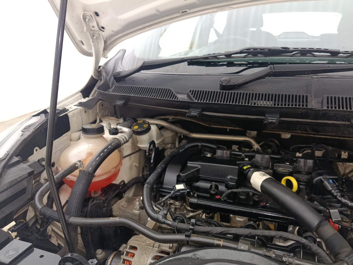 Used 2021 Ford Freestyle Titanium 1.2 Ti-VCT Petrol Manual engine ENGINE RIGHT SIDE HINGE & APRON VIEW
