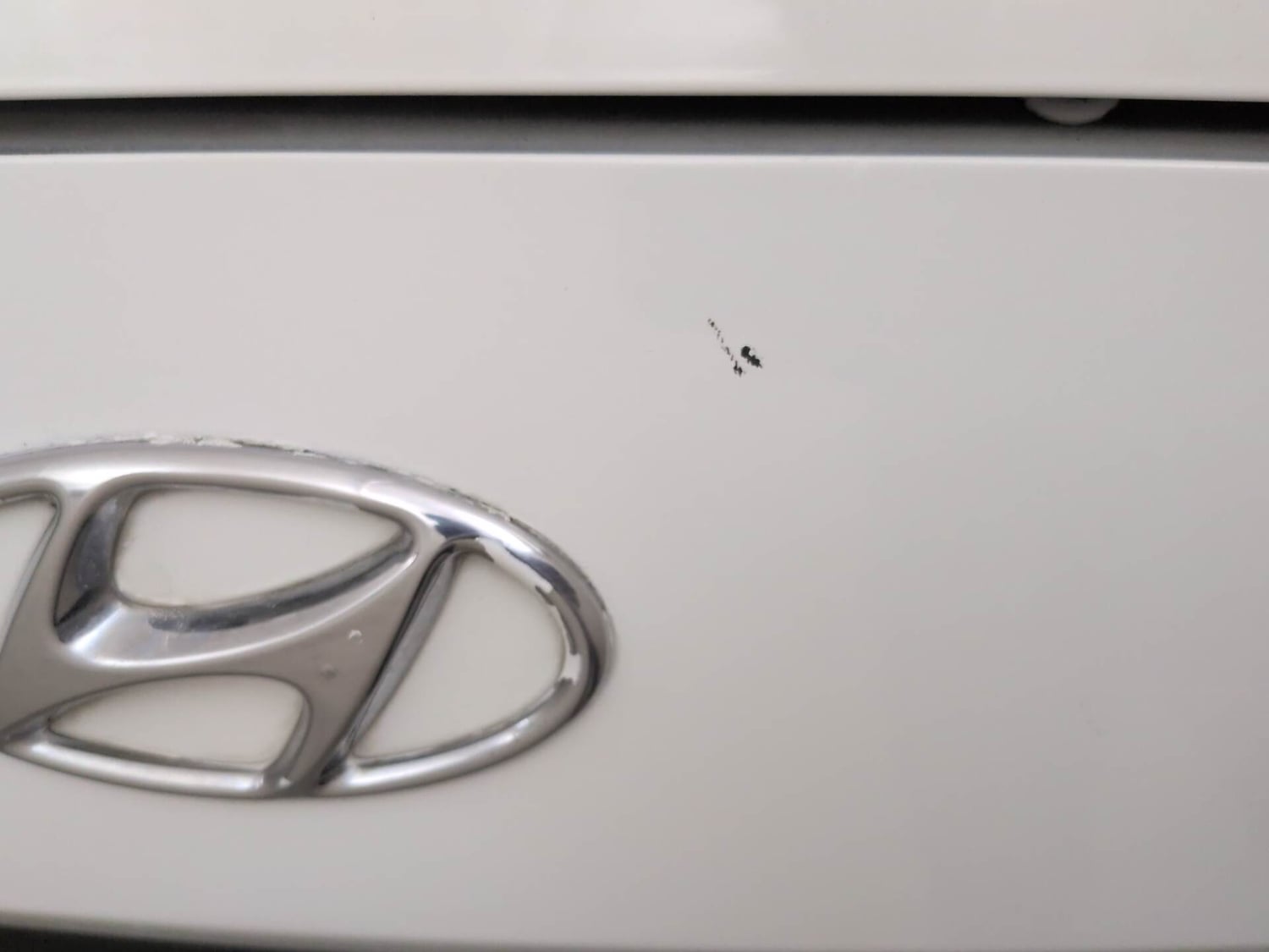 Used 2024 Maruti Suzuki Baleno Delta MT Petrol Manual dents MINOR SCRATCH