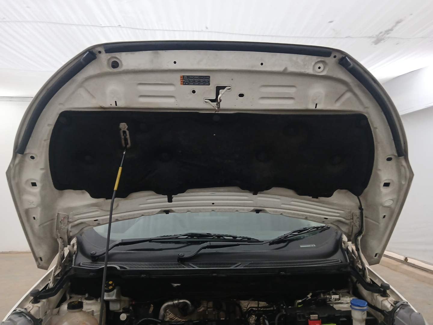 Used 2018 Ford EcoSport Trend 1.5L Ti-VCT Petrol Manual engine ENGINE & BONNET OPEN FRONT VIEW