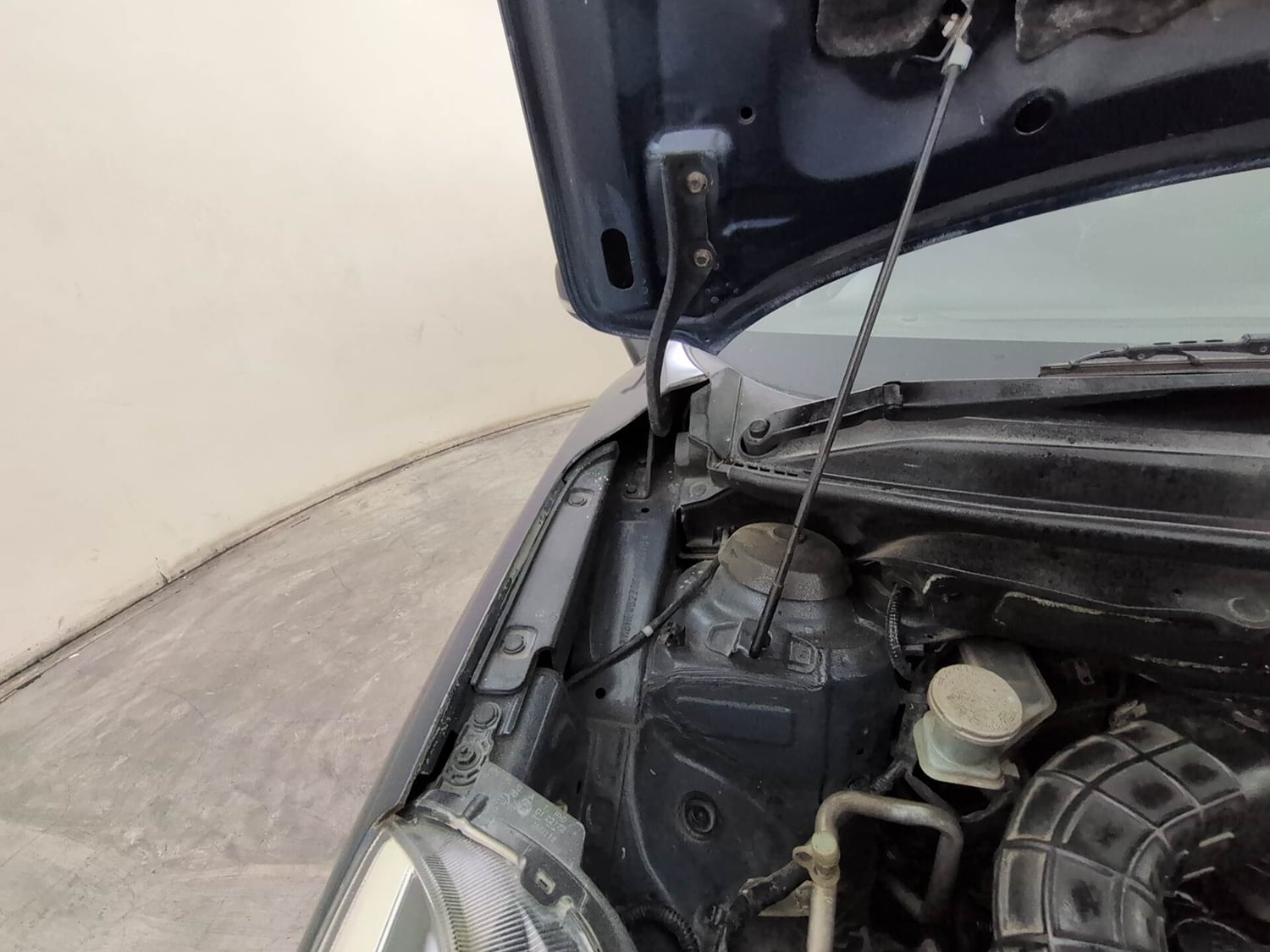Used 2019 Maruti Suzuki Baleno Alpha Automatic Petrol Automatic engine ENGINE RIGHT SIDE HINGE & APRON VIEW