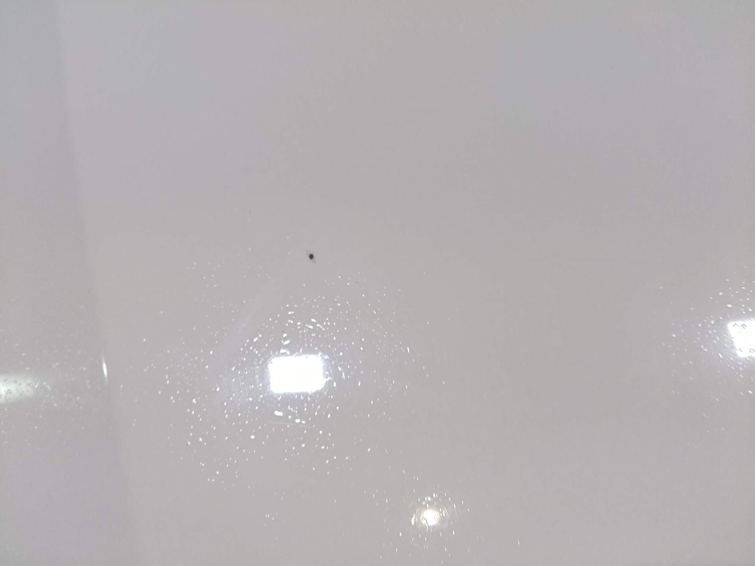 Used 2017 Volkswagen Polo Highline1.2L (P) Petrol Manual dents MINOR SCRATCH