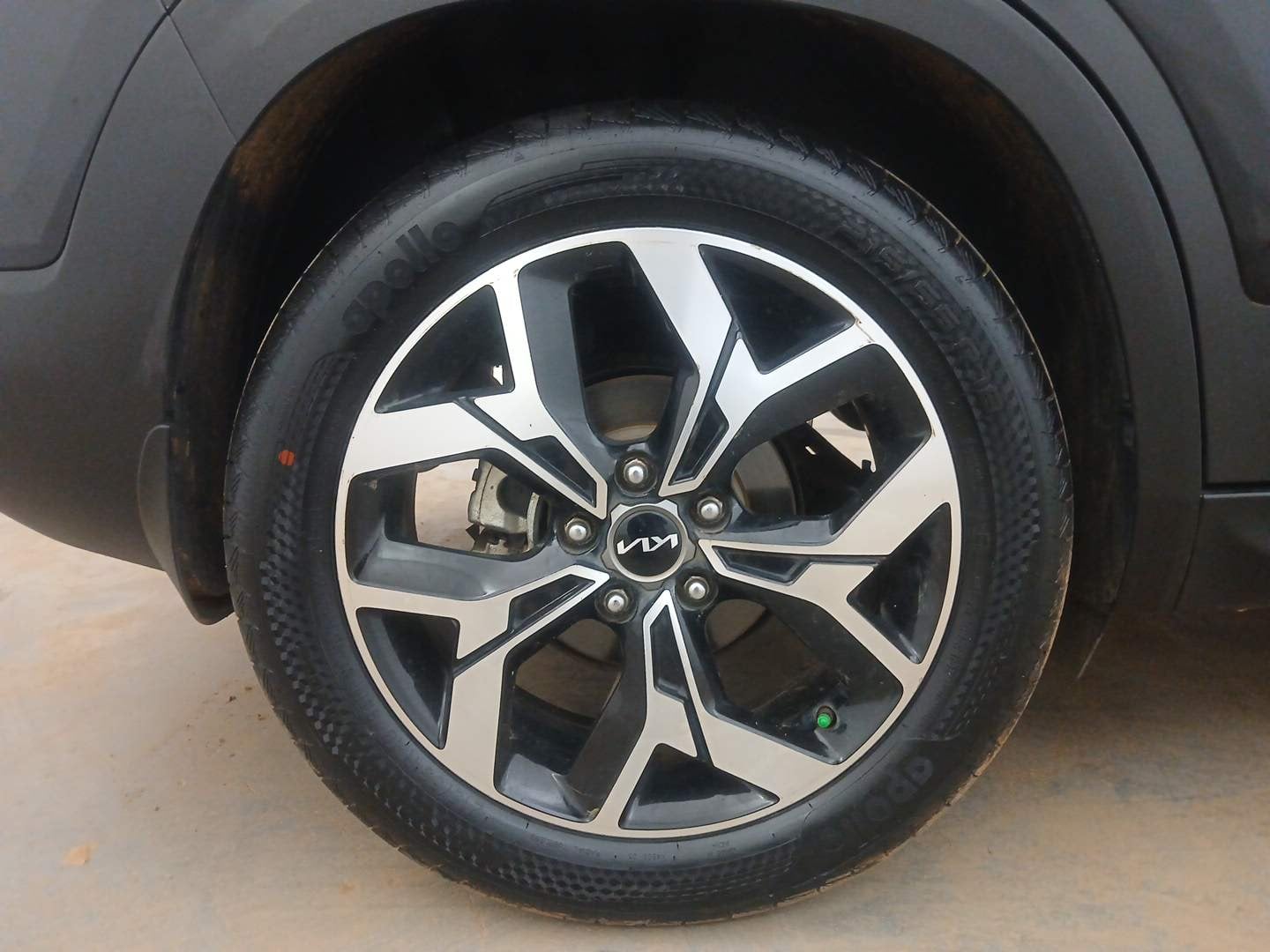 Used 2024 Kia Seltos GTX Plus (S) 1.5 Turbo Petrol DCT Petrol Automatic tyres RIGHT REAR TYRE RIM VIEW