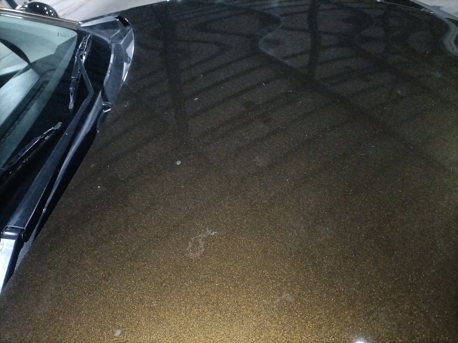 Used 2019 Maruti Suzuki XL6 Alpha AT Petrol Petrol Automatic dents MINOR SCRATCH